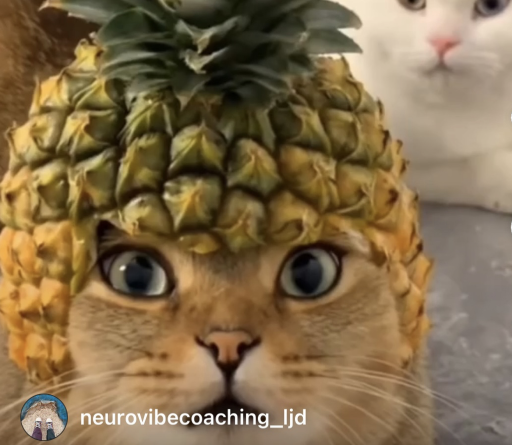 neurodiversity, shoes, autism business, autism, adhd, neurodivergent, special needs, art, kicks, dyslexia, dyspraxia, mentalhealth, autism mom, glass children, coaching, family coaching, autism coaching